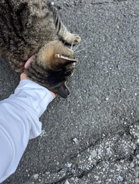 みたよ／シフト