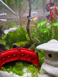 最近はまった趣味ってやつ。