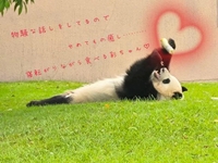 長い、長すぎるな…😅