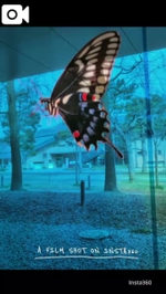 料金改正とお知らせ💁‍♂️⋆͛📢⋆