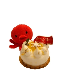 タコとともに🐙生きている