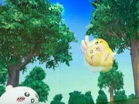 こんな子です♡