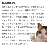 ありがとう❤︎