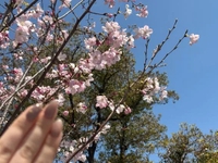 明日28日デビューなのだ🎊