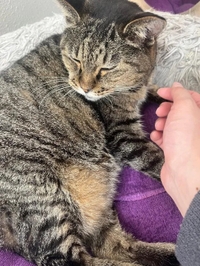 今日もありがとう!(´▽｀)