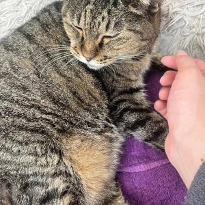 今日もありがとう!(´▽｀)