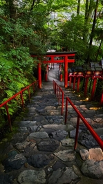 趣味⛩ 💥