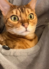 ありがとう💗💗💗