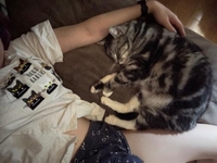 おはねこ🐱︎💕︎