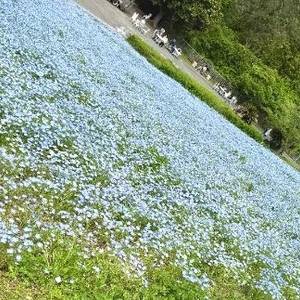遅れを取り戻すかのように