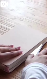 【シエラ🎥動画62】悩み。