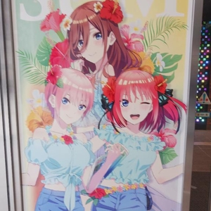 🧸💌𓂃𓈒𓂂𓏸
