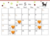 5月後半の予定??