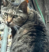 みたよ／シフト