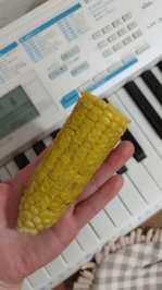 明日ご予約してくださってるお客様へ