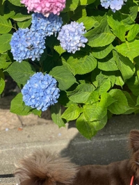 『申し訳ない・・・』