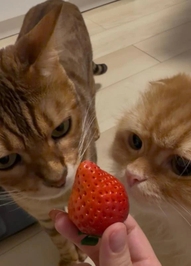 ありがとう💗💗💗