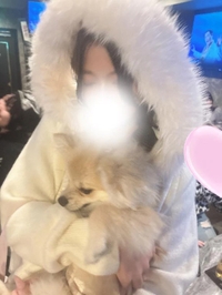 残り🈳