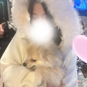 残り🈳