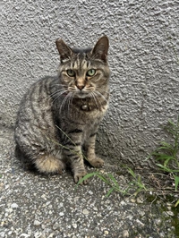 みたよ／シフト