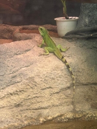 💖リアバ出勤(予定)💖