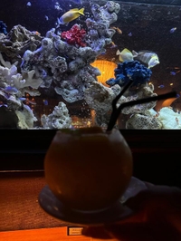 こんばんは( ̳- ·̫ - ̳ˆ )◞♡