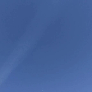 おはよん(๑′ᴗ‵๑)