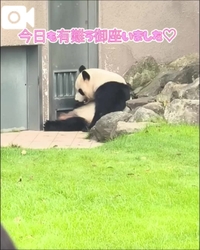 パンにバターとたっぷりの砂糖(じいじ作)