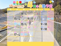 4月の予定🌸