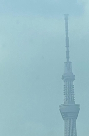 おはようございます🌤️