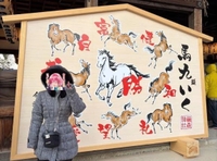 ウマウマ(^∪^/🍚)