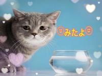 みたよ(*ˊ˘ˋ*)♡