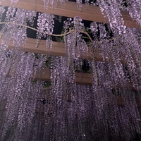 新しい扉?