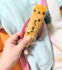 や、やる事が多い……!!!!???
