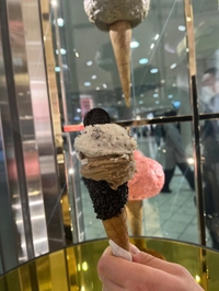 朝の小さな楽しみ✨