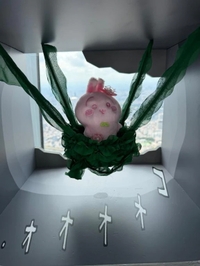 おねがい🪄
