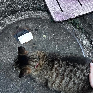 今日もありがとう