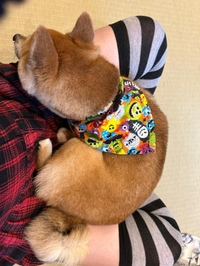 動物大好き(*'▽'*)♪