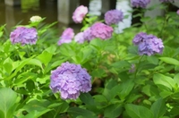 まったり🌸