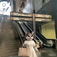 出勤します♡