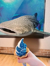 🐟