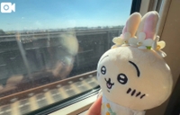 西へ東へεε＝(((((ﾉ･ω･)ﾉ