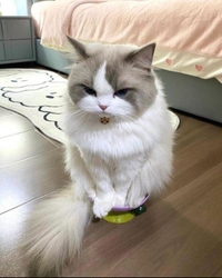 (^-^)