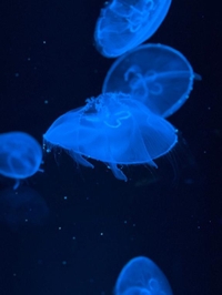 🩷５月ラスト🩷