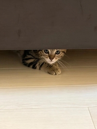 😔ごめんなさい😔