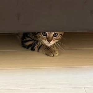 😔ごめんなさい😔