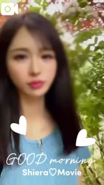 【シエラ🌳動画🎥126】朝散歩