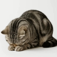 おはようございます♡