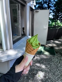 病気では無いなぁ