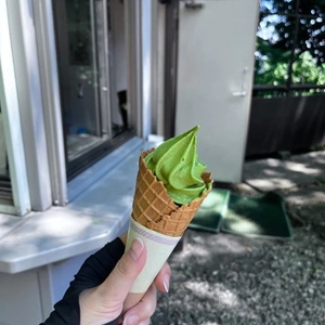 病気では無いなぁ